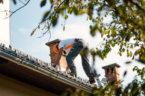 Best Gutter Installation and Roofing  in Key Vista, FL