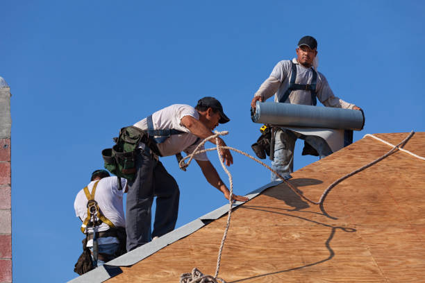 Best Roof Gutter Cleaning  in Key Vista, FL