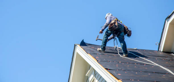 Best Flat Roof Repair Services  in Key Vista, FL